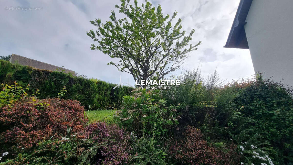 Maison à SAINT-MARTIN-DE-BOSCHERVILLE