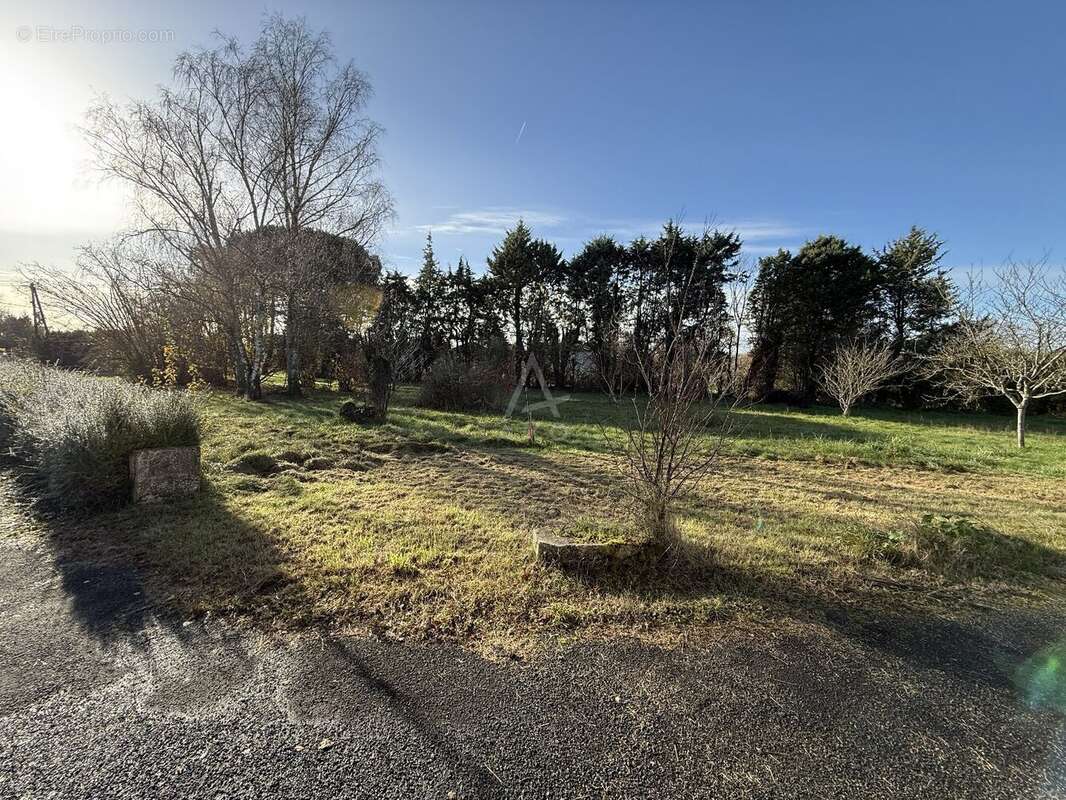 Terrain à MIGNALOUX-BEAUVOIR