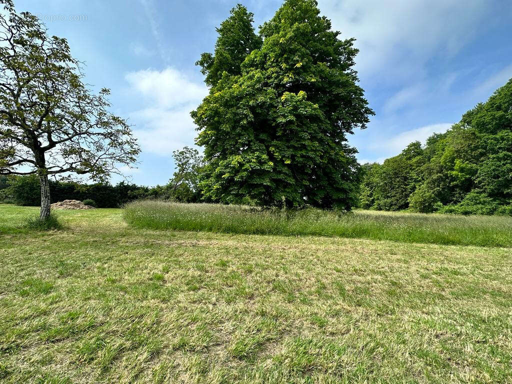 Maison à SAINT-DIZANT-DU-BOIS