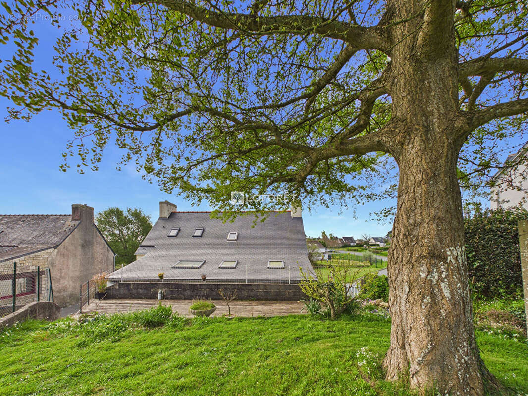 Maison à SAINT-JEAN-TROLIMON