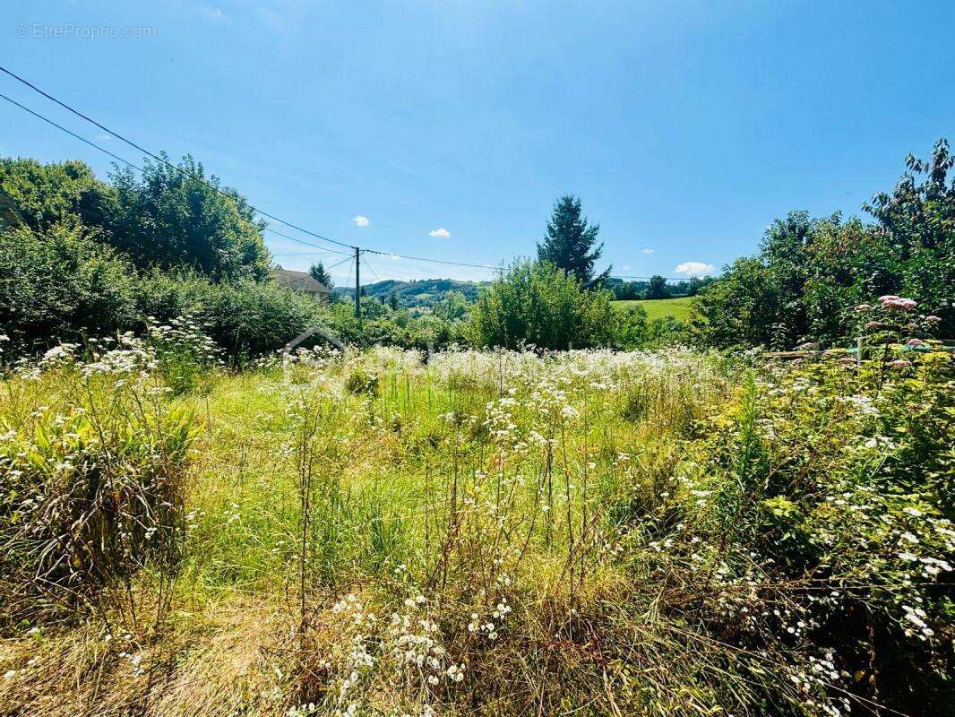 Appartement à COURS-LA-VILLE