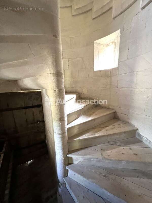 Maison 418 m² à Pont-L'eveque  - photo 314