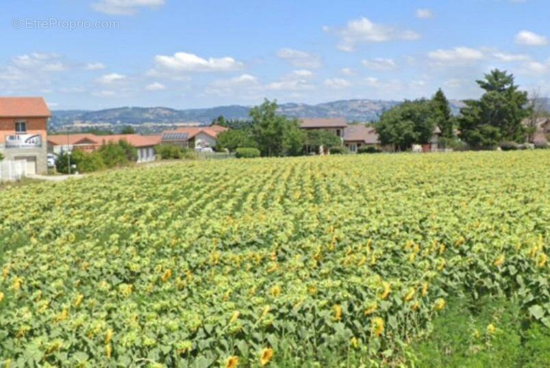 Terrain à VIRIVILLE