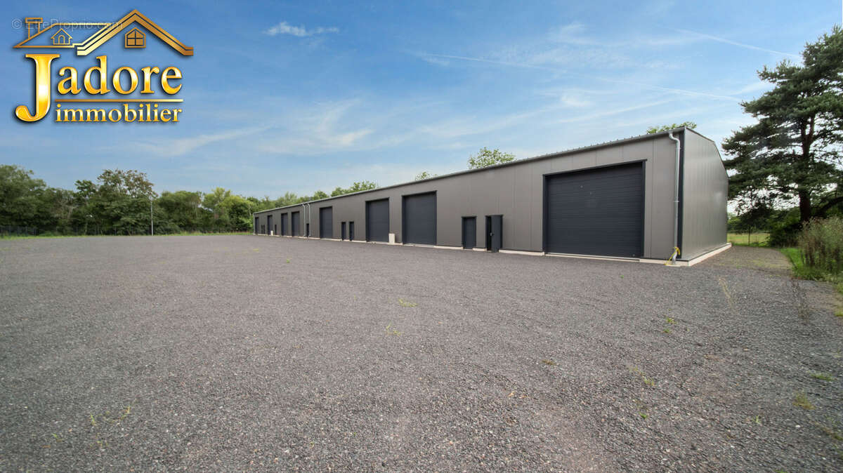 Autre à SAINT-DIE-DES-VOSGES