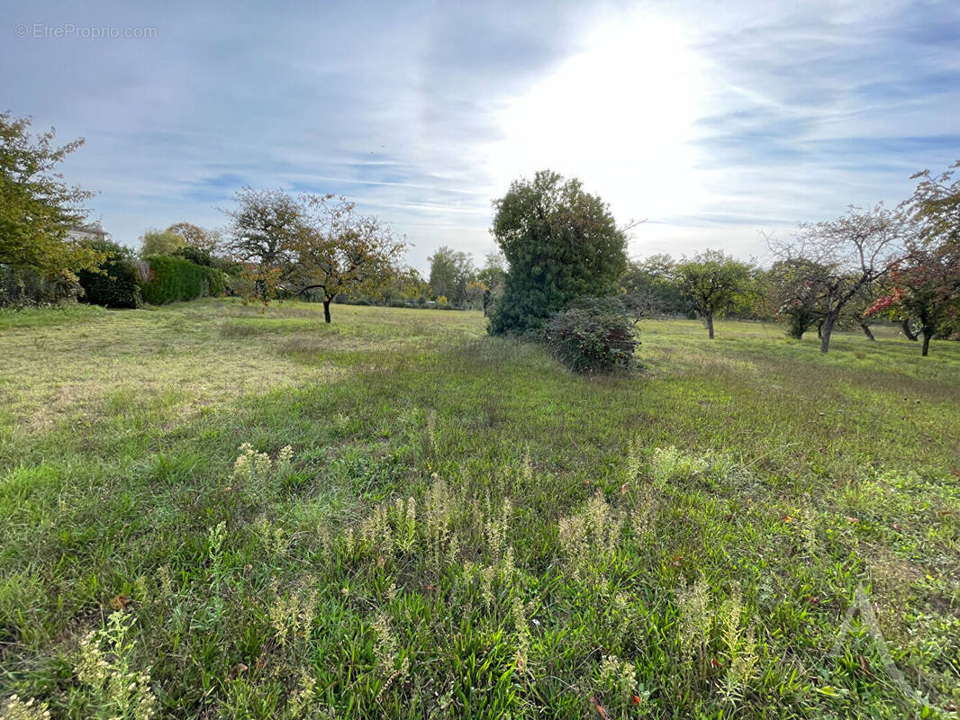 Terrain à CHATEAUROUX