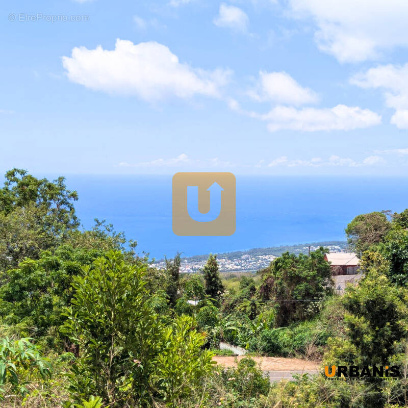 Terrain à SAINT-PAUL