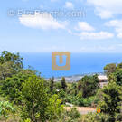 Terrain à SAINT-PAUL