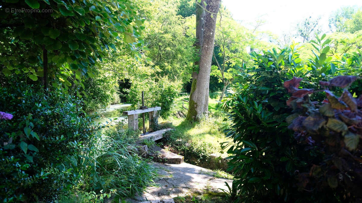 Charente. Moulin en Pierre pour Amoureux de la Nature, 8 ha, Ruisseau, Etang, Maison d'Amis, Bois - photo 8