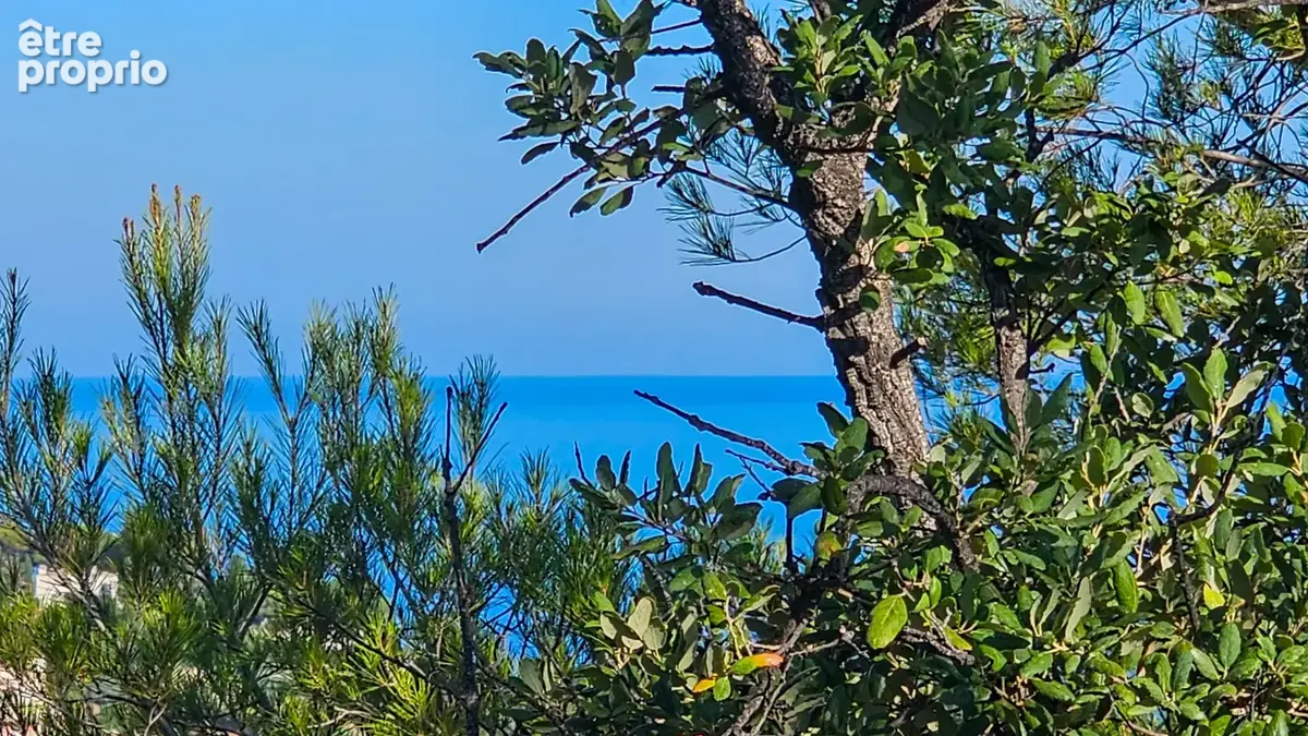 Le lavandou   au belvédère, entre ciel et pinède - photo 12