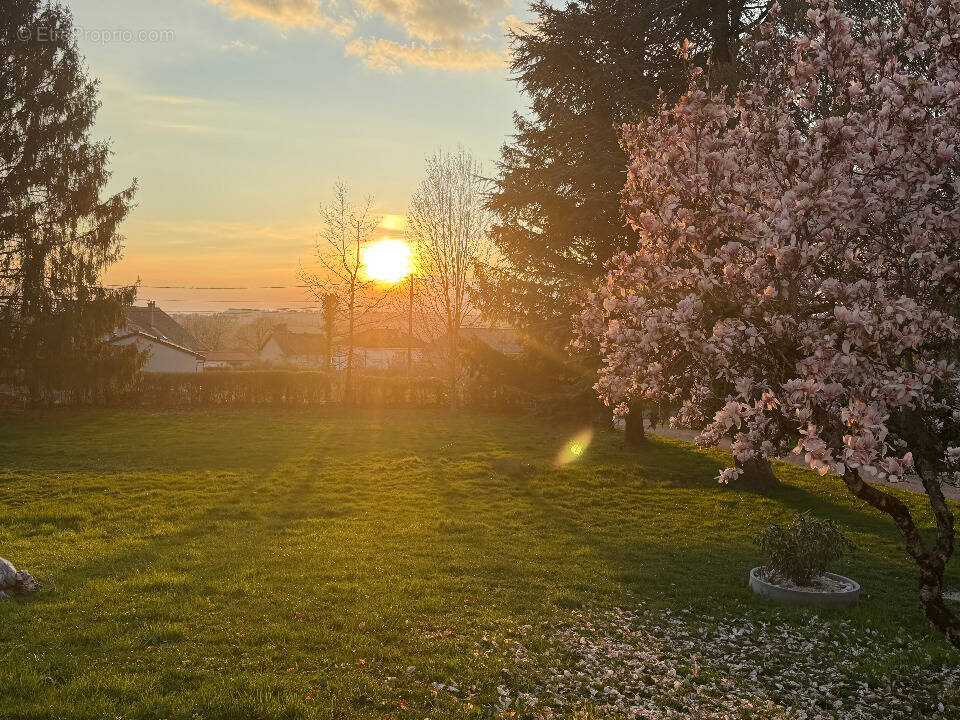 Terrain à NAUCELLES