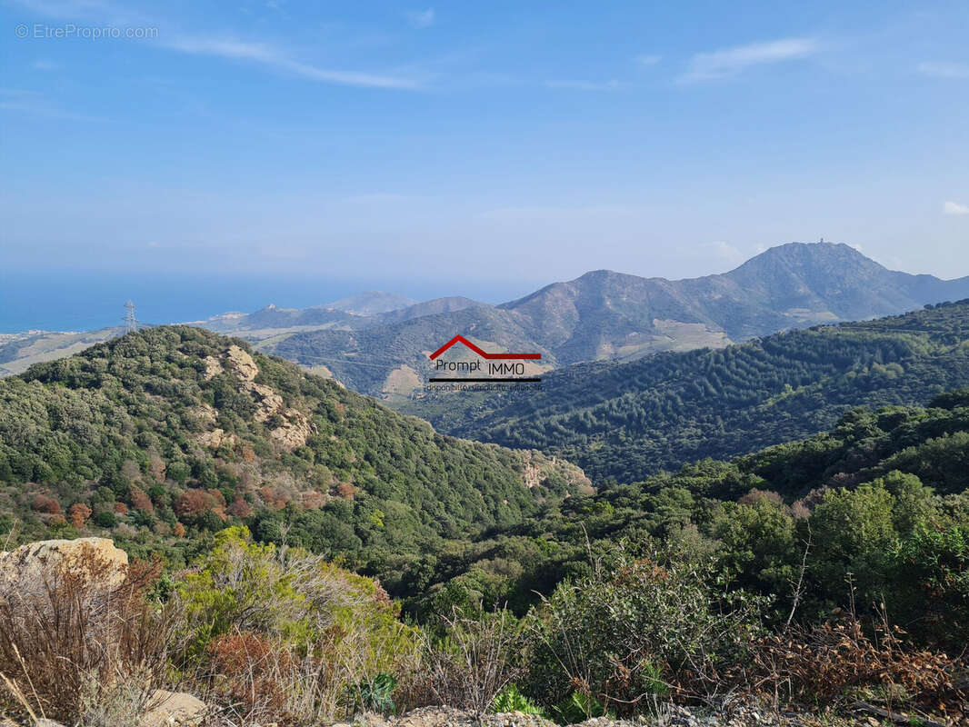 Terrain à BANYULS-SUR-MER