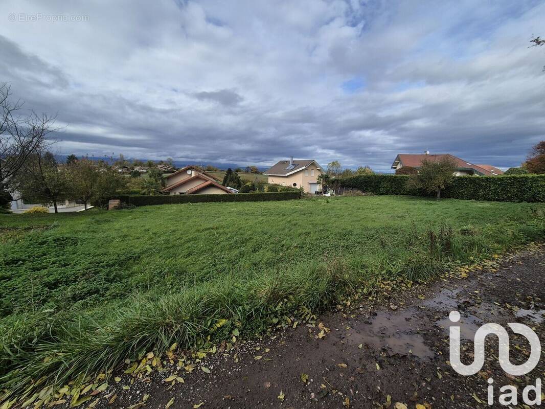 Photo 1 - Terrain à ALLINGES