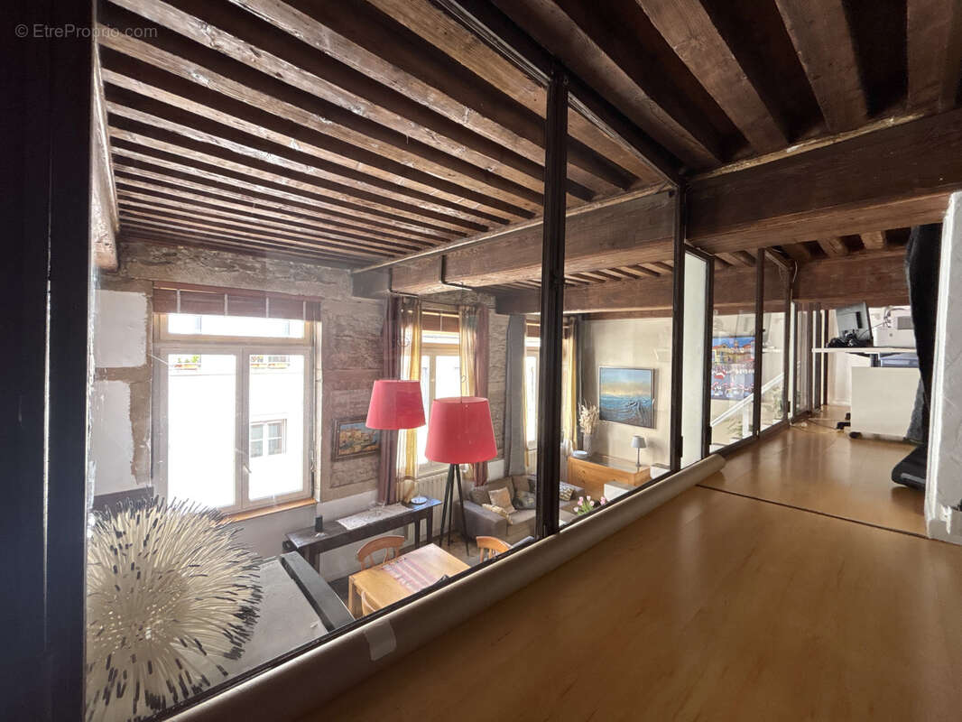 LYON 4   À deux pas du Gros Caillou : CHARME CANUT de 49,39 m2 et 76,30 m2 au sol - photo 11