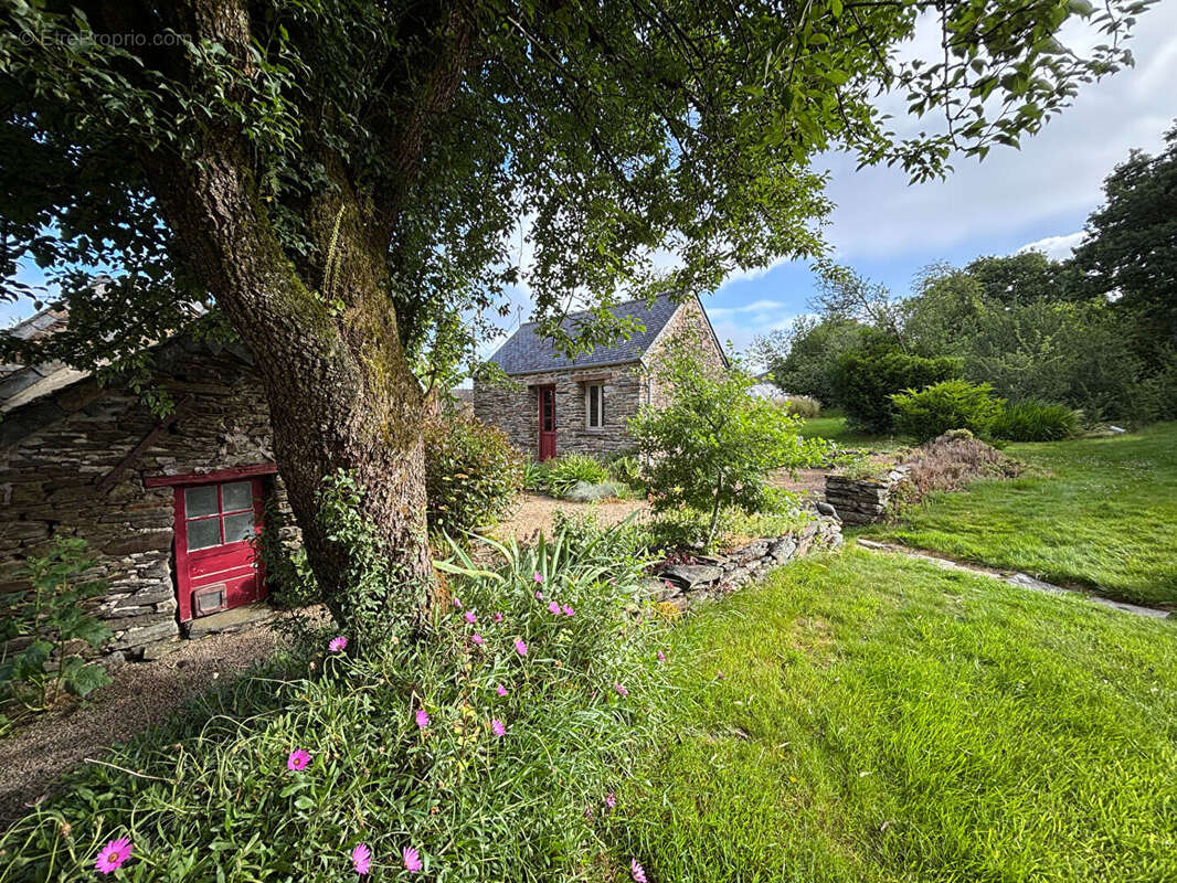 Maison à LAMPAUL-GUIMILIAU