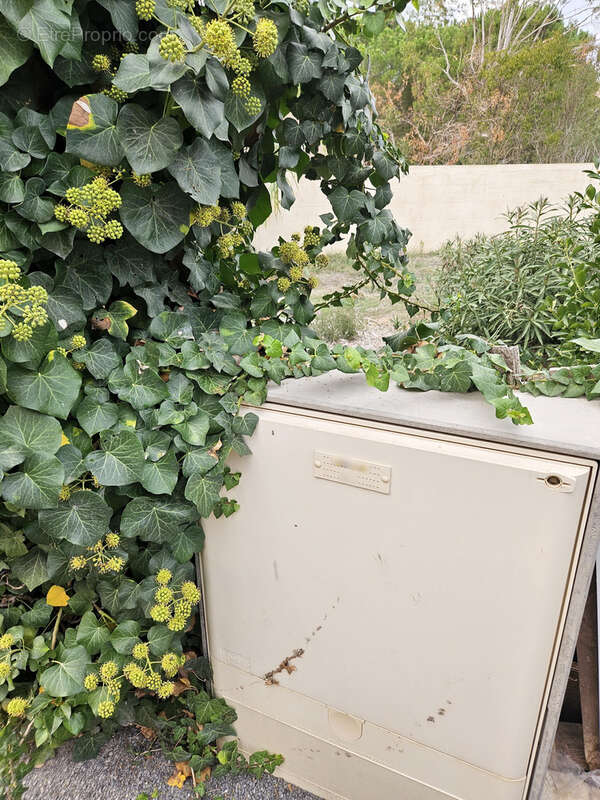 Terrain à SAINT-NAZAIRE-D&#039;AUDE