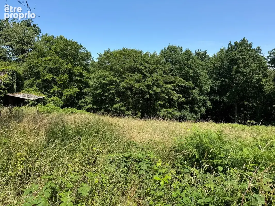 Terrain à vendre de 3 250,00 m² SAINT MARTIN DU VIVIER (76) - photo 2