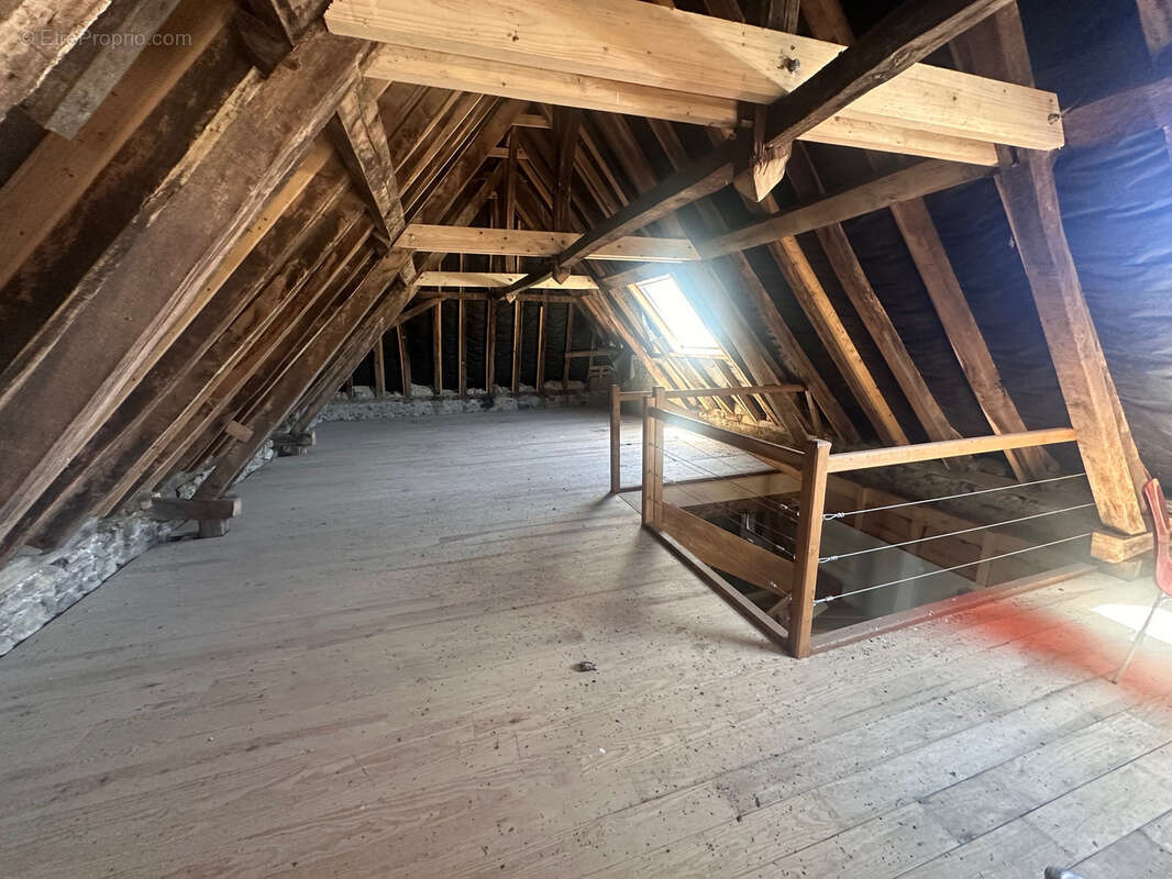 Maison sur Arudy, bien atypique avec de nombreuses possibilités. Isolé de tout, cadre de vie magnifique. - photo 10