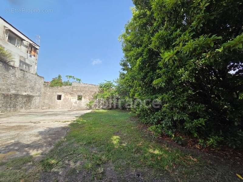 Propriété rare avec maison + 3 logements indépendants – 1850 m² constructible – Basse-Terre centre - photo 24