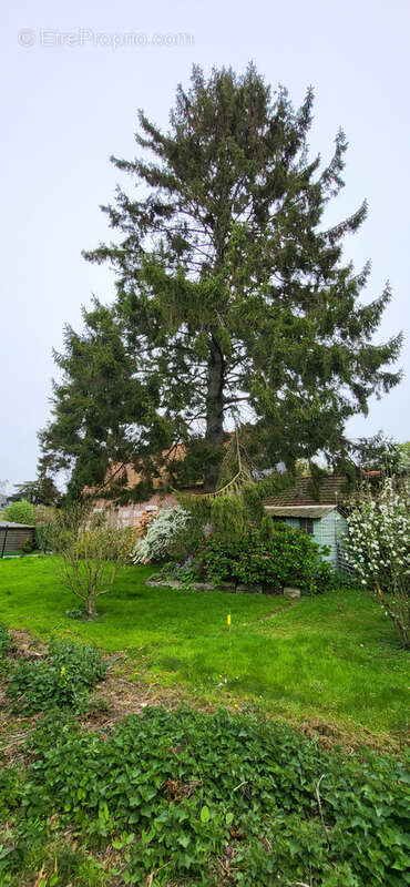 Maison à SAINT-NICOLAS-D'ALIERMONT