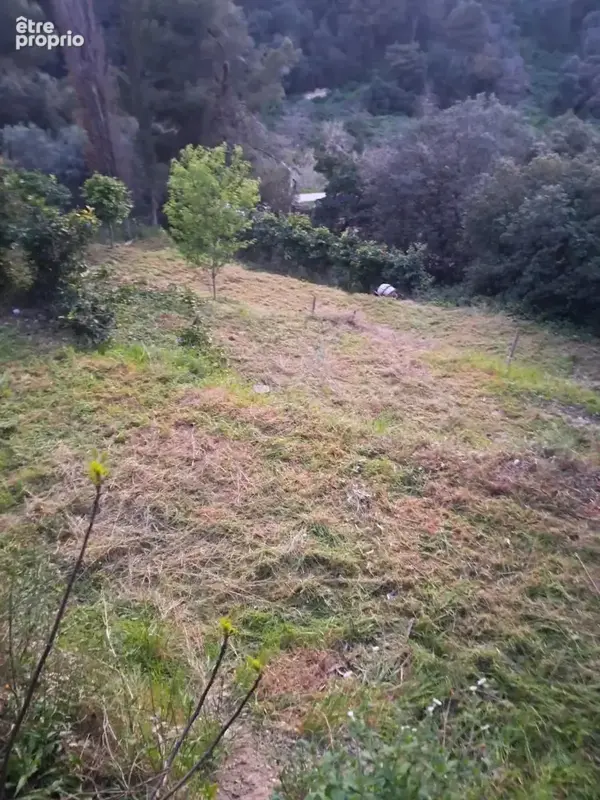 Terrain à NICE