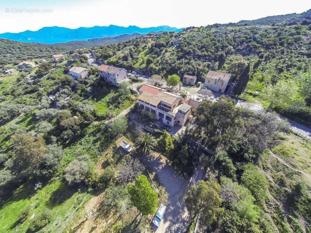 Commerce à SANTO-PIETRO-DI-TENDA