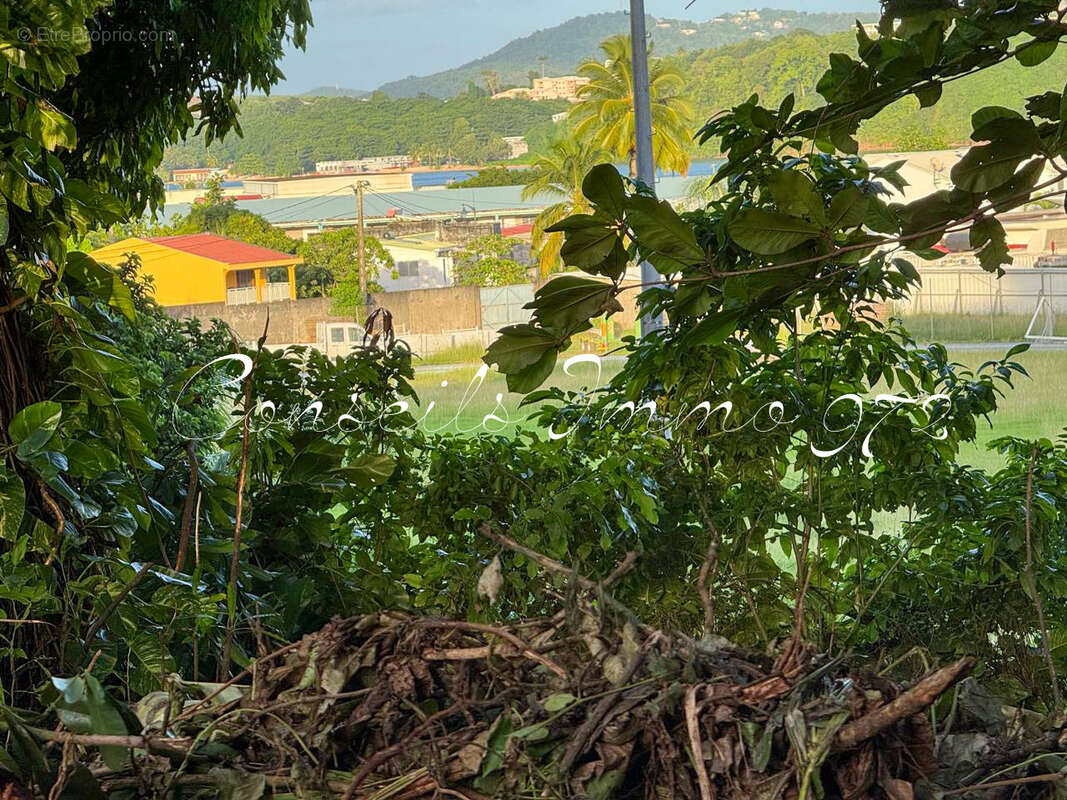 Terrain à LA TRINITE