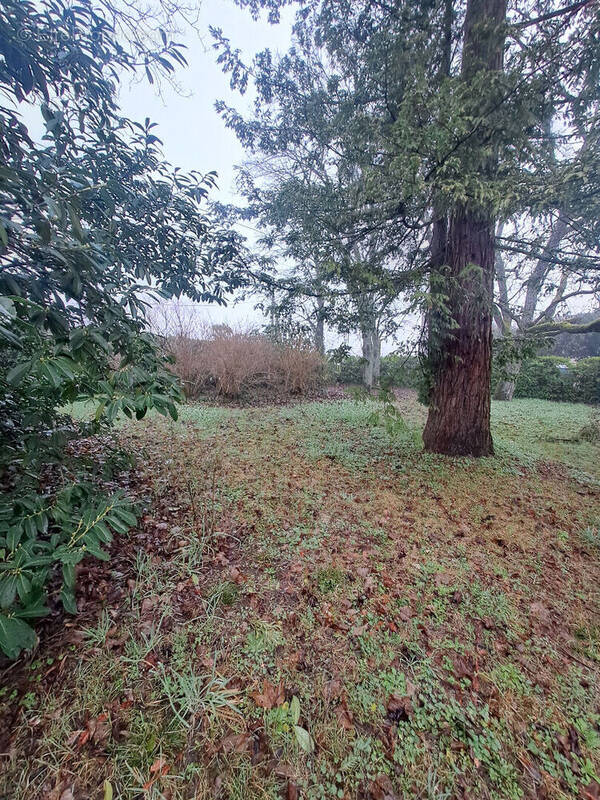 Terrain à GREZ-SUR-LOING