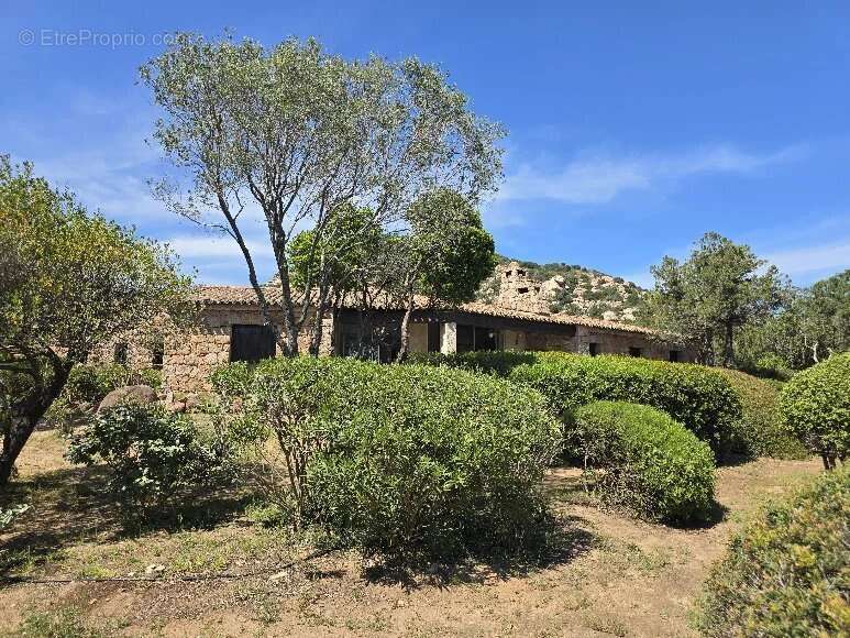 Maison à PORTO-VECCHIO