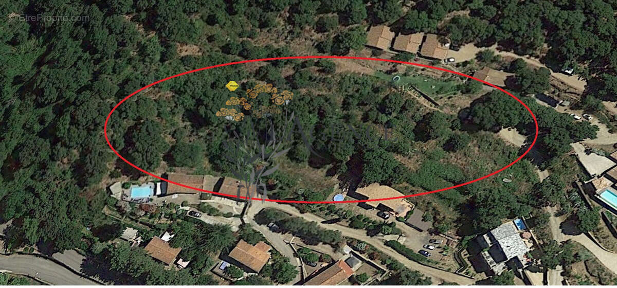 Terrain à OLETTA