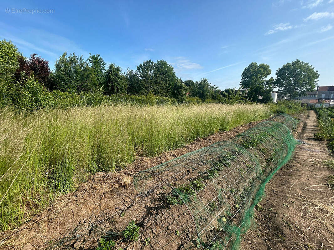 Terrain à BAPAUME