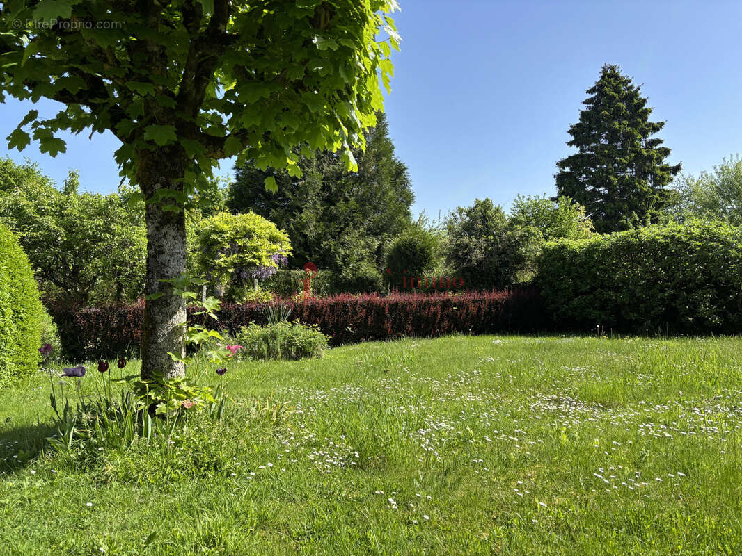 Maison à NOCE