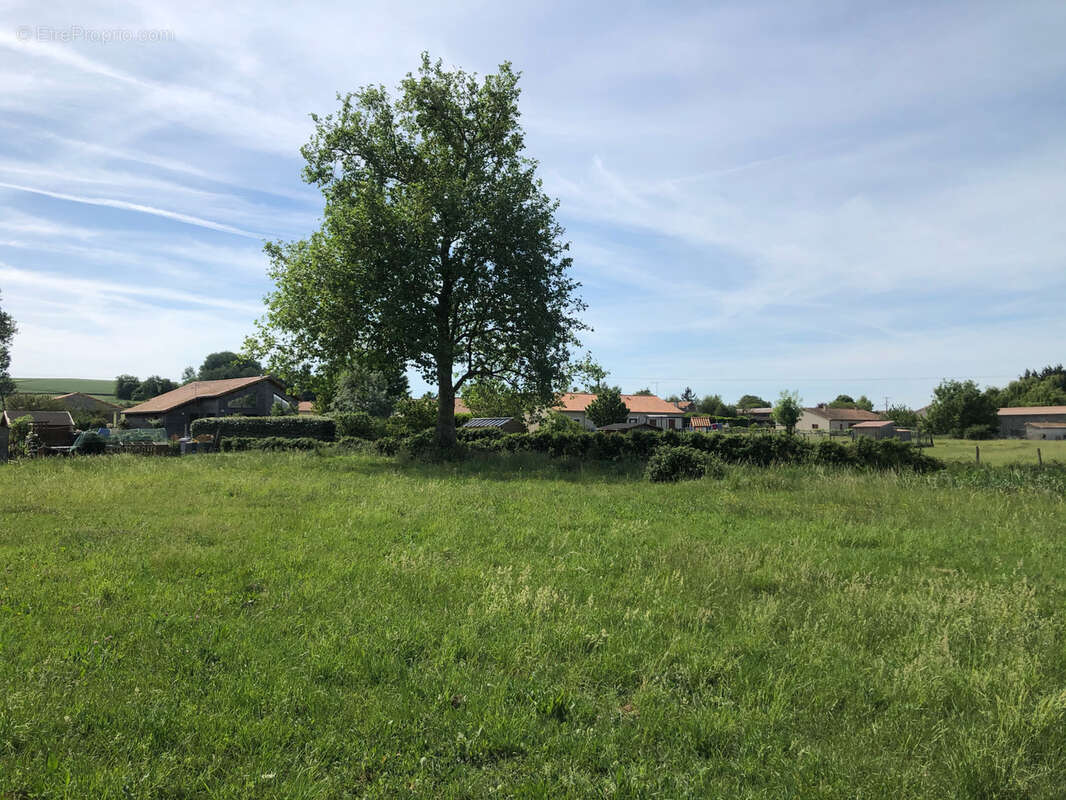 Terrain à CHOUPPES
