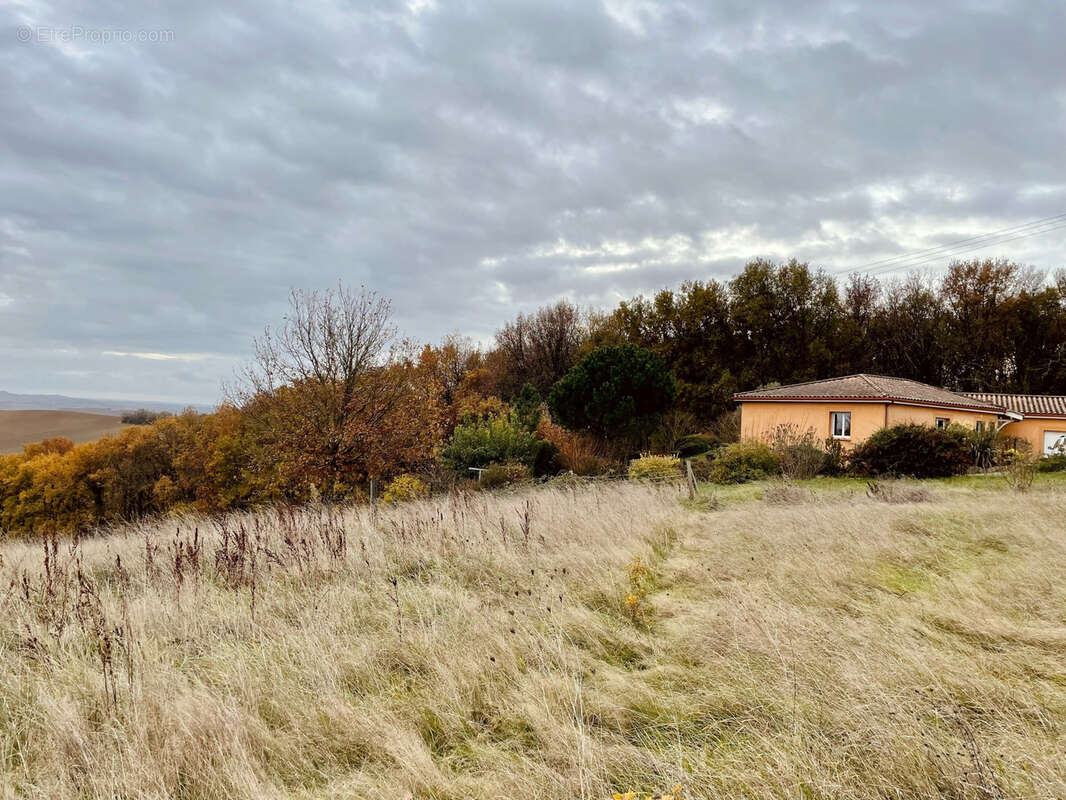 Terrain à BEAUMONT-DE-LOMAGNE