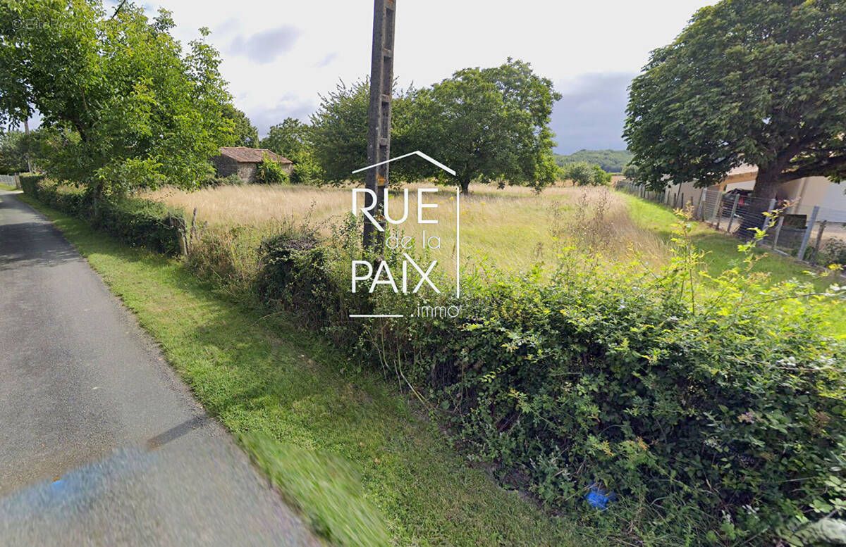 Terrain à CHIRE-EN-MONTREUIL