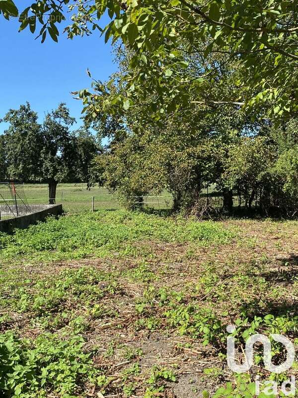 Photo 2 - Terrain à ZILLISHEIM