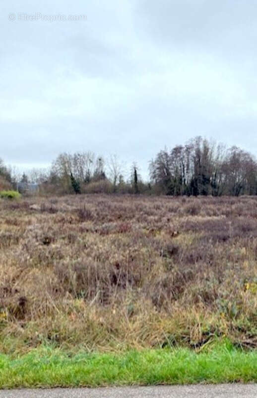 Terrain à PONT-SUR-VANNE