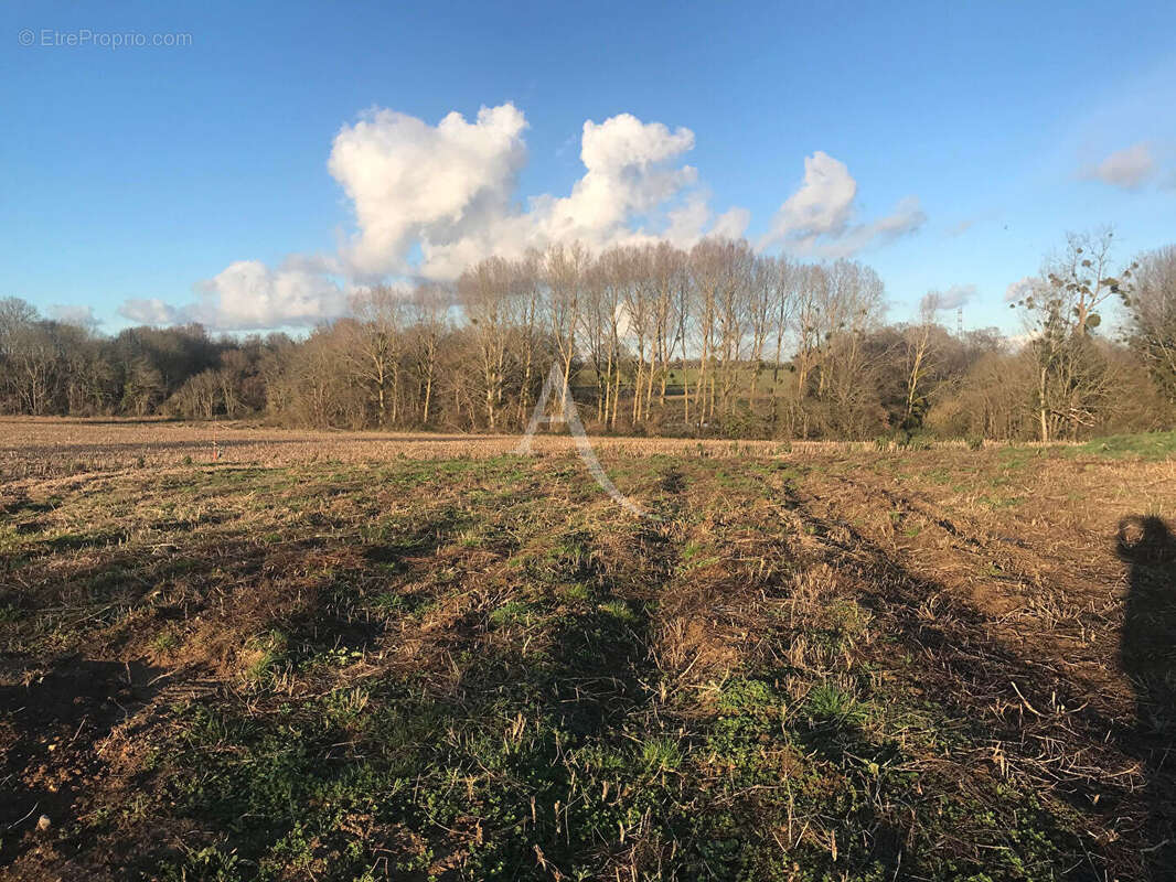 Terrain à CHAMPAGNE