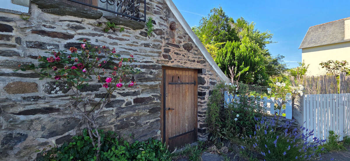 Plestin Les Grèves - Maison en pierre - photo 8
