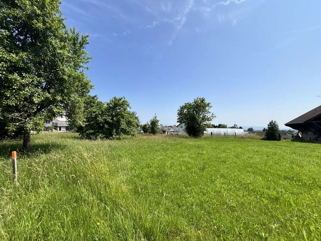 Folgensbourg au calme terrain constructible de 13,23 ares - photo 2
