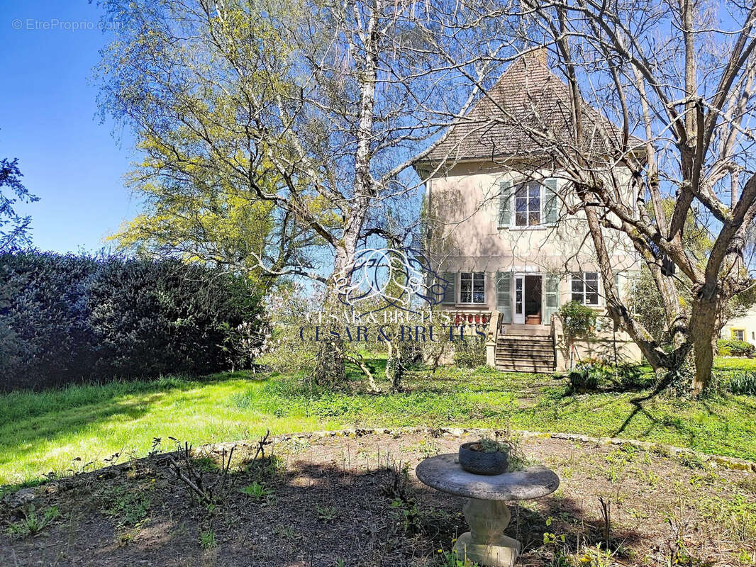 Maison 254 m² à Chandon  - photo 3
