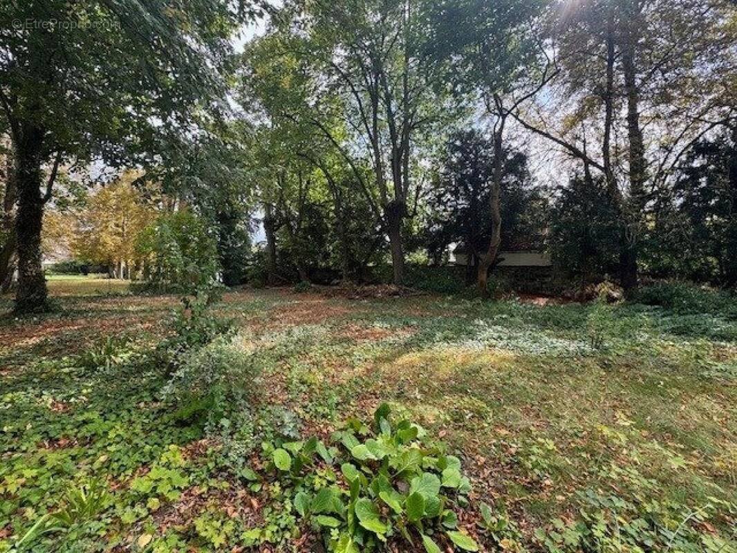 Photo 1 - Terrain à LE MESNIL-LE-ROI