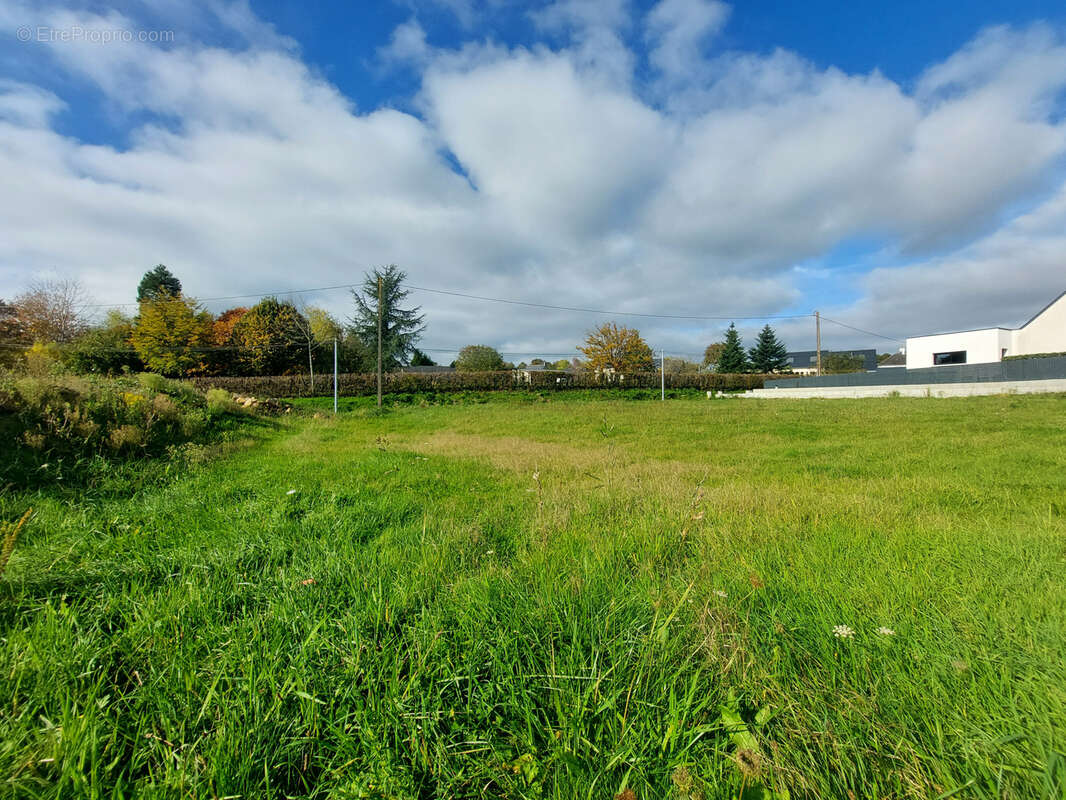 Terrain à LE PERTRE