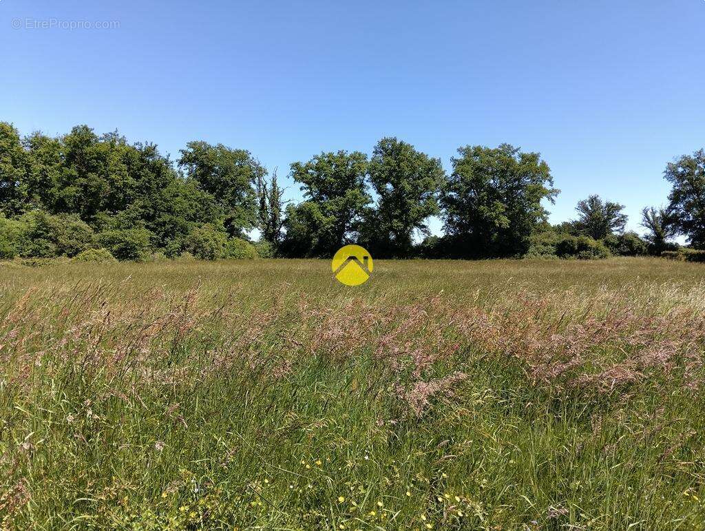 Terrain à LURCY-LEVIS