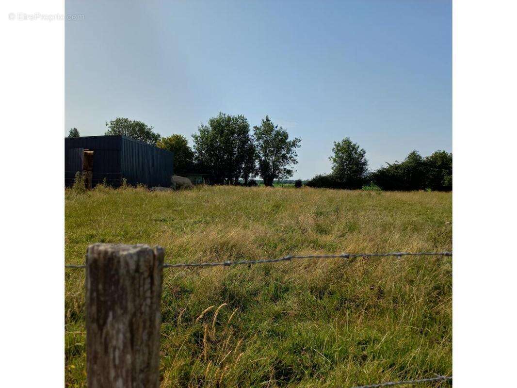 Terrain à FRESSIN