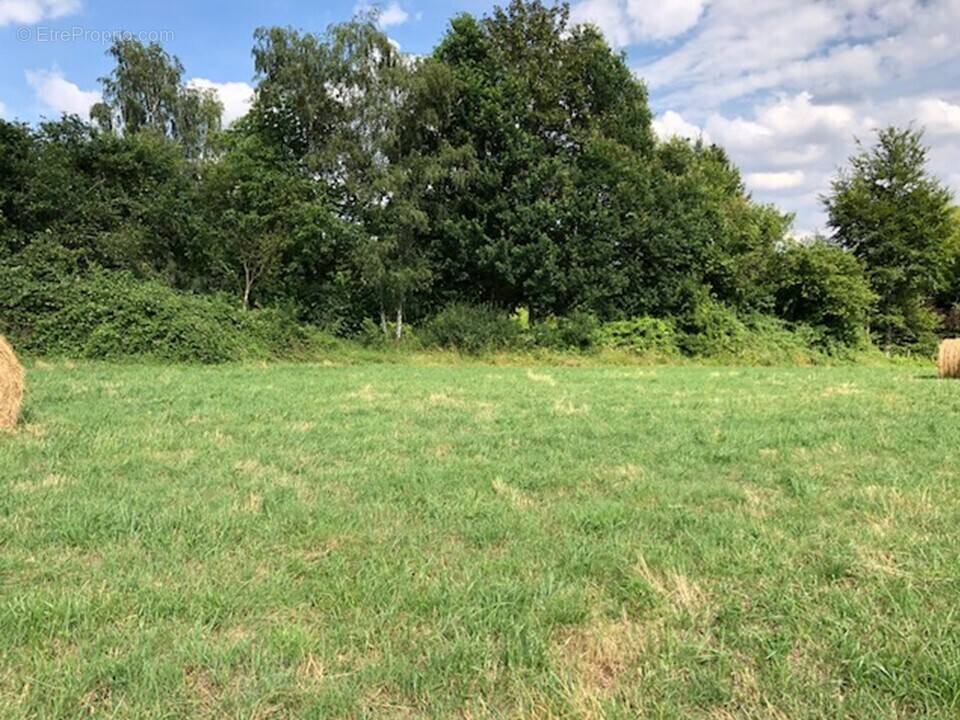 Terrain à CORMERAY