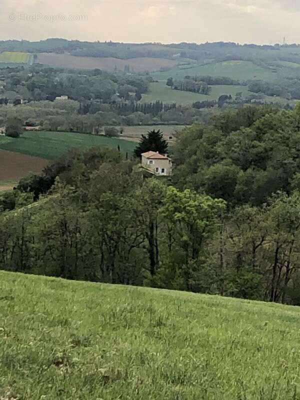 IMG3941 - Maison à AUCH