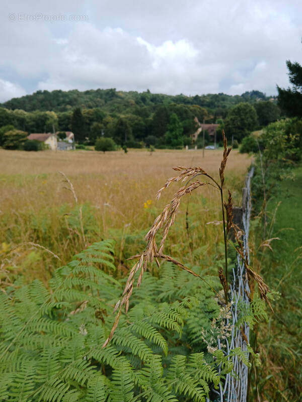 Terrain à SARLAT-LA-CANEDA