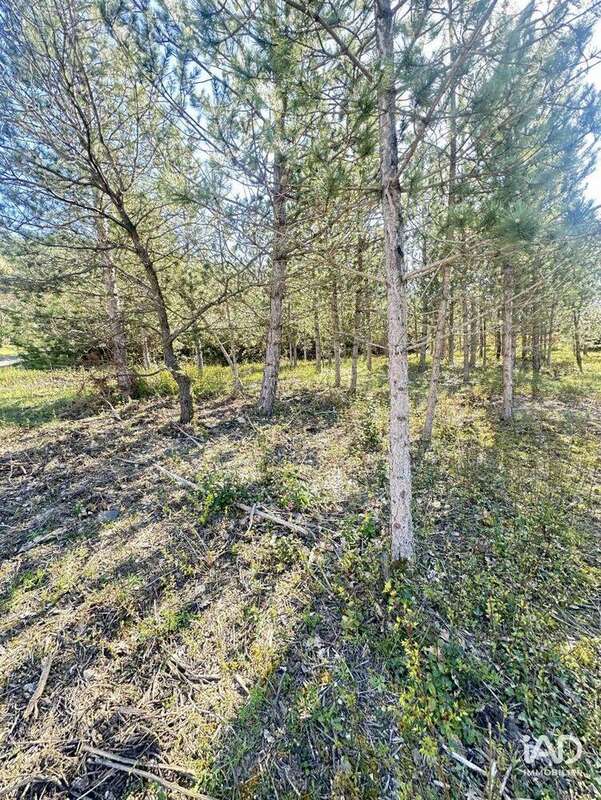 Photo 2 - Terrain à MOLLANS-SUR-OUVEZE