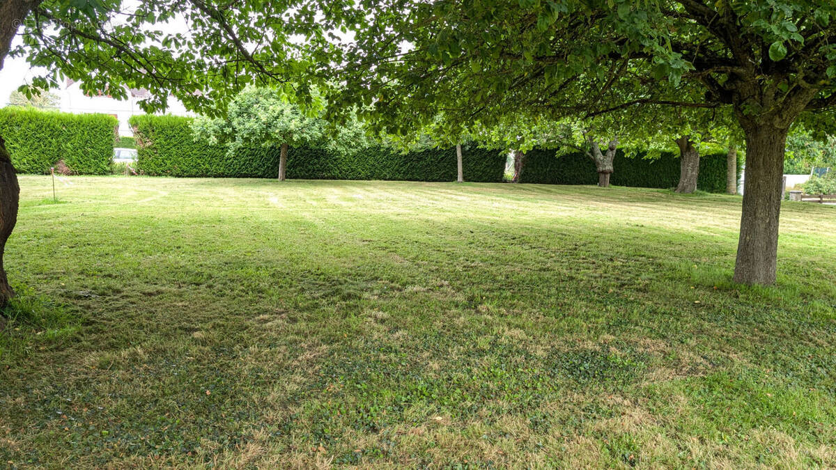 Terrain à BOULEURS