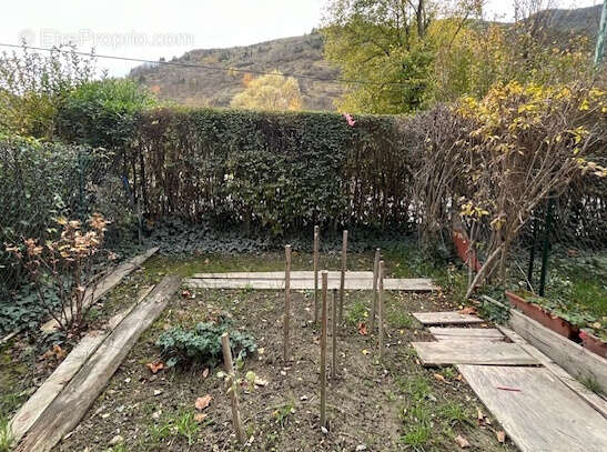 Studio + terrasse + jardinet - photo 4